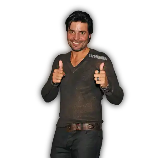 Sticker Maker - Luis Miguel - Chayanne - Mijares