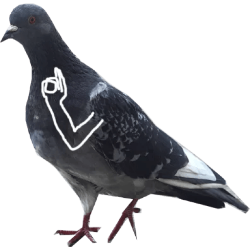 Sticker Maker - The pigeon memes